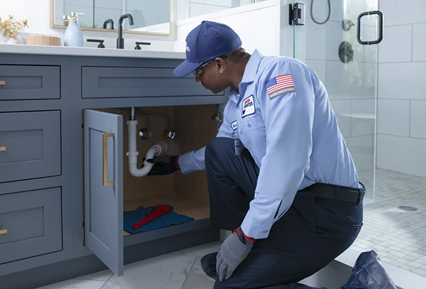 Free Camera Inspection